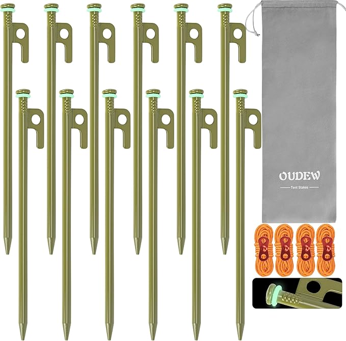 10 inch Tent Stakes Heavy Duty 12 PCS Camping Tent Stakes for Yard and Ground with Reflective Camping Ropes and Pegs Bag(ArmyGreen)
