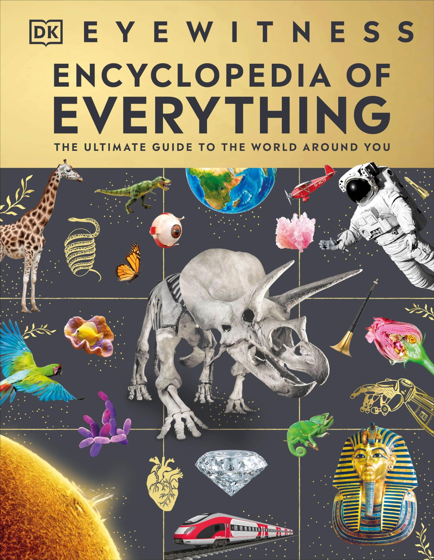 Eyewitness Encyclopedia of Everything: The Ultimate Guide to the World Around You (DK Eyewitness)