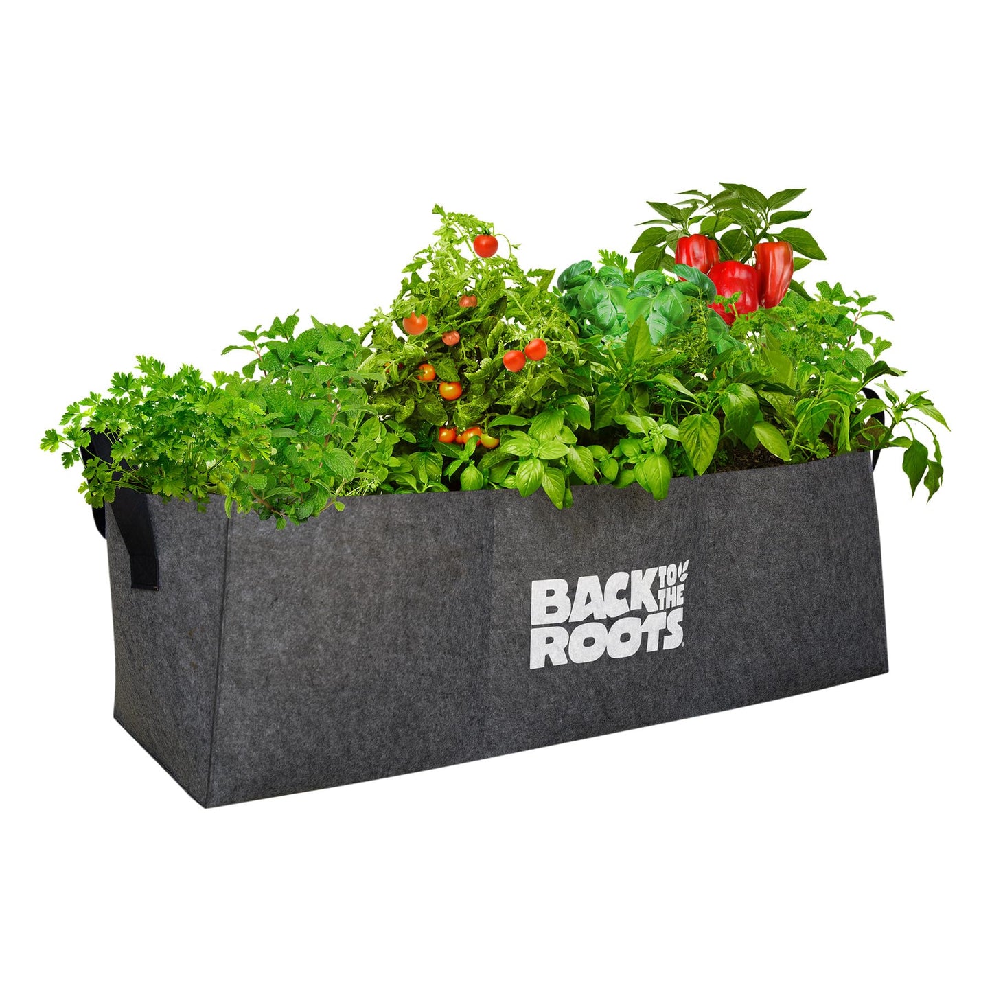 Back to the Roots Breathable Raised Bed (Provides More Oxygen to Roots), 3 Cu. Ft., No Assembly Needed, Reusable & Weatherproof