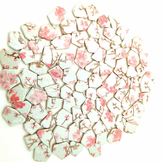 1.1 LB Porcelain Ceramic Mosaic Tiles,Broken Irregular Mosaic Tiles for DIY Craft Floor,Kitchen,Pool, Flower Pots Mosaic Making Supplies (Porcelain 10)