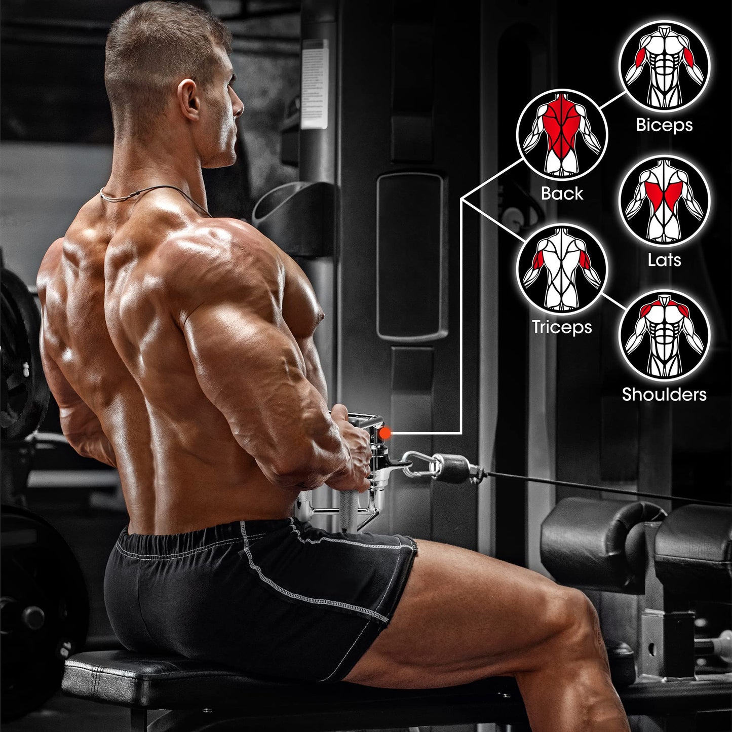 Yes4All Rotating Double D Row Handle Cable Attachment for Weight Workout, Cable Machine Accessories for Home Gym