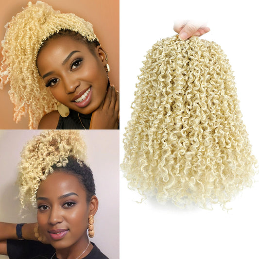 Aksice 10 Inch 8 Packs Yanky Twist Crochet Hair for Women Pre-looped Mini Twist Hair Bohemian Passion Twist Crochet Hair Boho Crochet Braids Synthetic (613#)