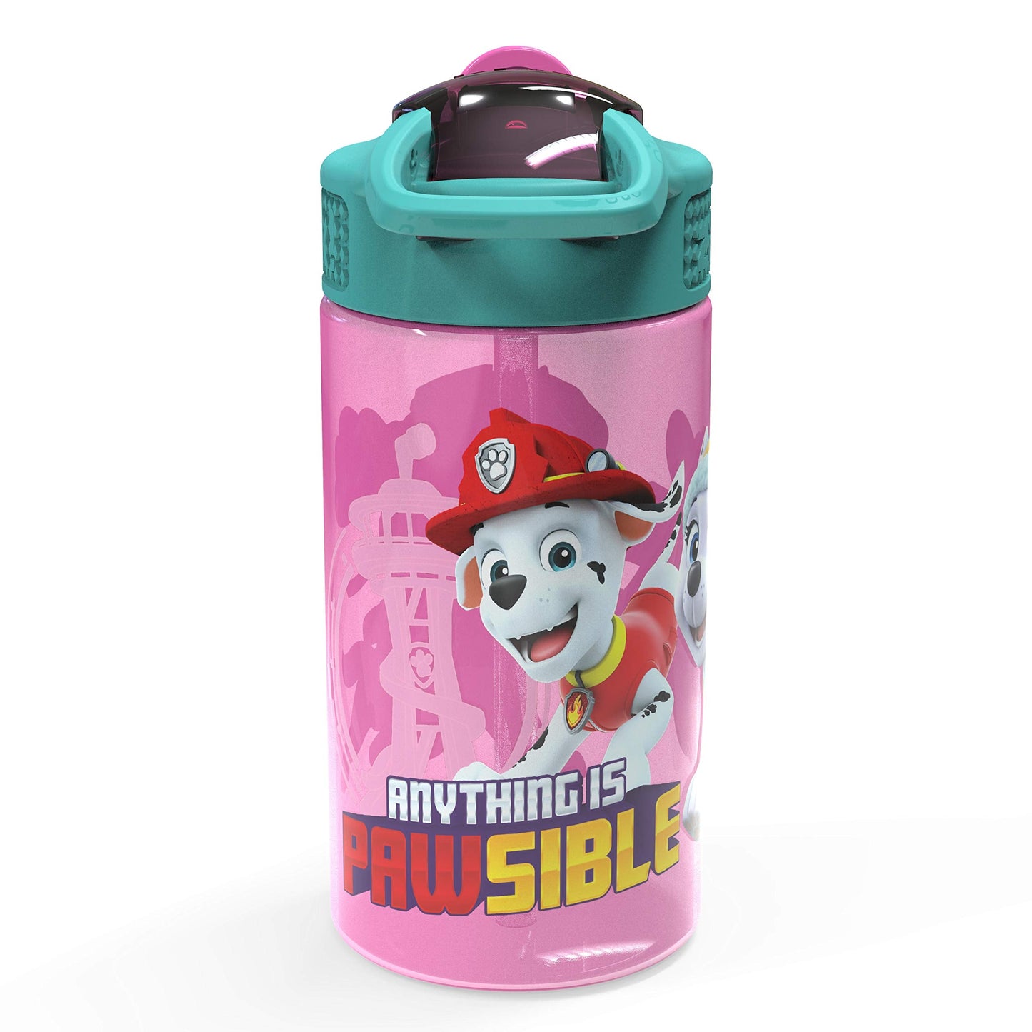 Zak Designs Kids Durable Plastic Spout Cover and Built-in Carrying Loop, Leak-Proof Water Design for Travel, (16oz, 2pc Set), Paw Patrol Skye Bottle 2pk