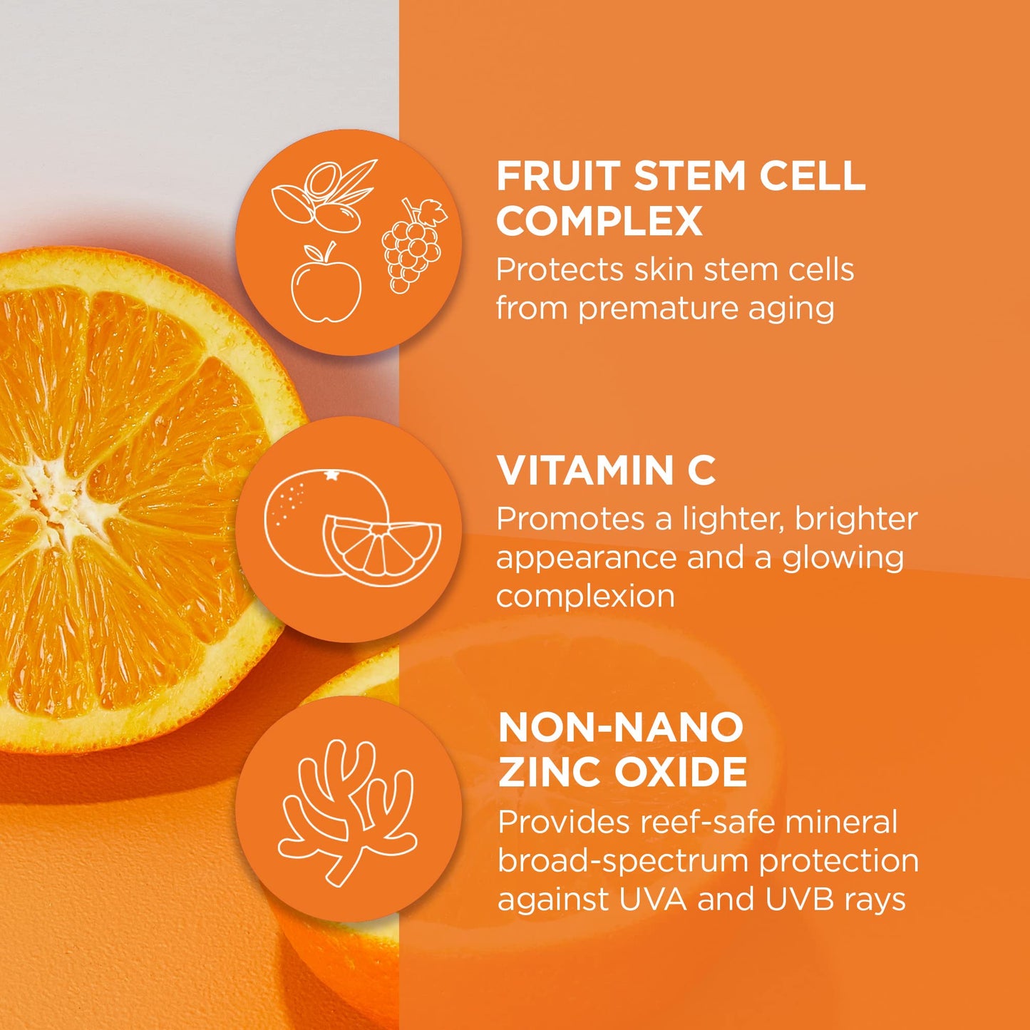 Andalou Naturals Vitamin C BB Beauty Balm Sheer Tint SPF 30, 2-in-1 BB Cream & Face Sunscreen with Broad Spectrum Protection, Mineral Sunscreen with Non-Nano Zinc Oxide, 2 Fl Oz