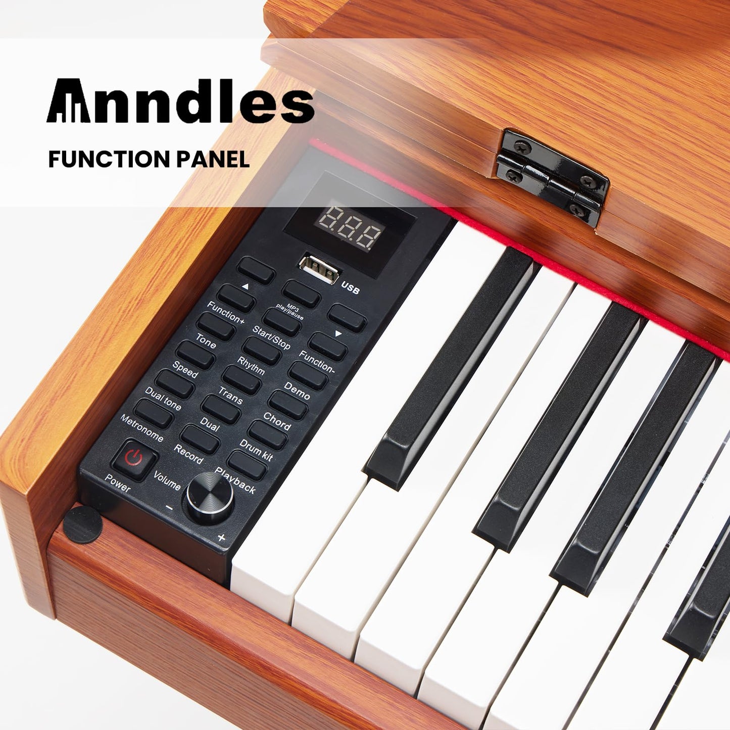 Anndles Keyboard Piano,Digital Piano Weighted For Beginner,Electric Piano 88 Keys,USB MIDI and Headphone Jack,Three Pedal