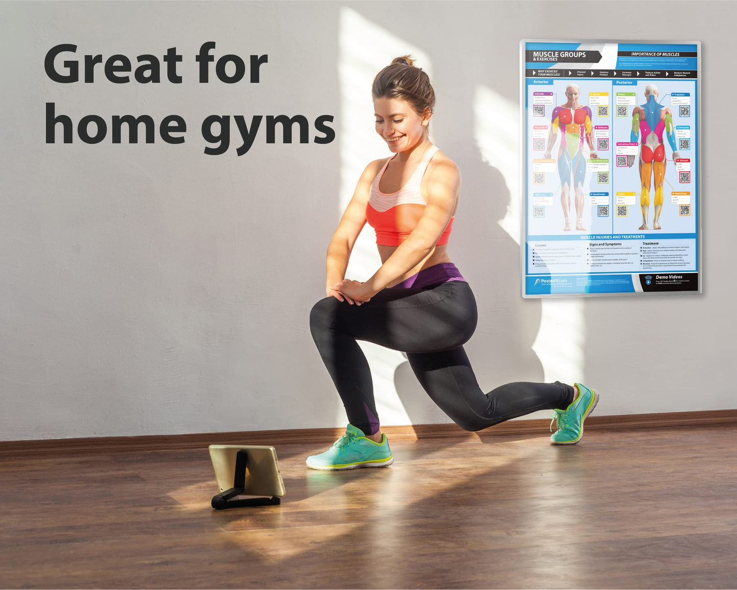 Muscle Groups & Exercises Gym Poster - Laminated - EXTRA LARGE 33” x 23.5” - Gym & Home Fitness Wall Chart - Includes Online Video Training