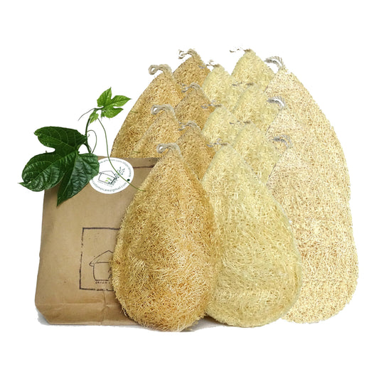 Natural Loofah Dish Sponge Pack 10 Vegetable Scrubber for Kitchen - 100% Biodegradable Compostable Dishwashing Scouring Pad Zero Waste