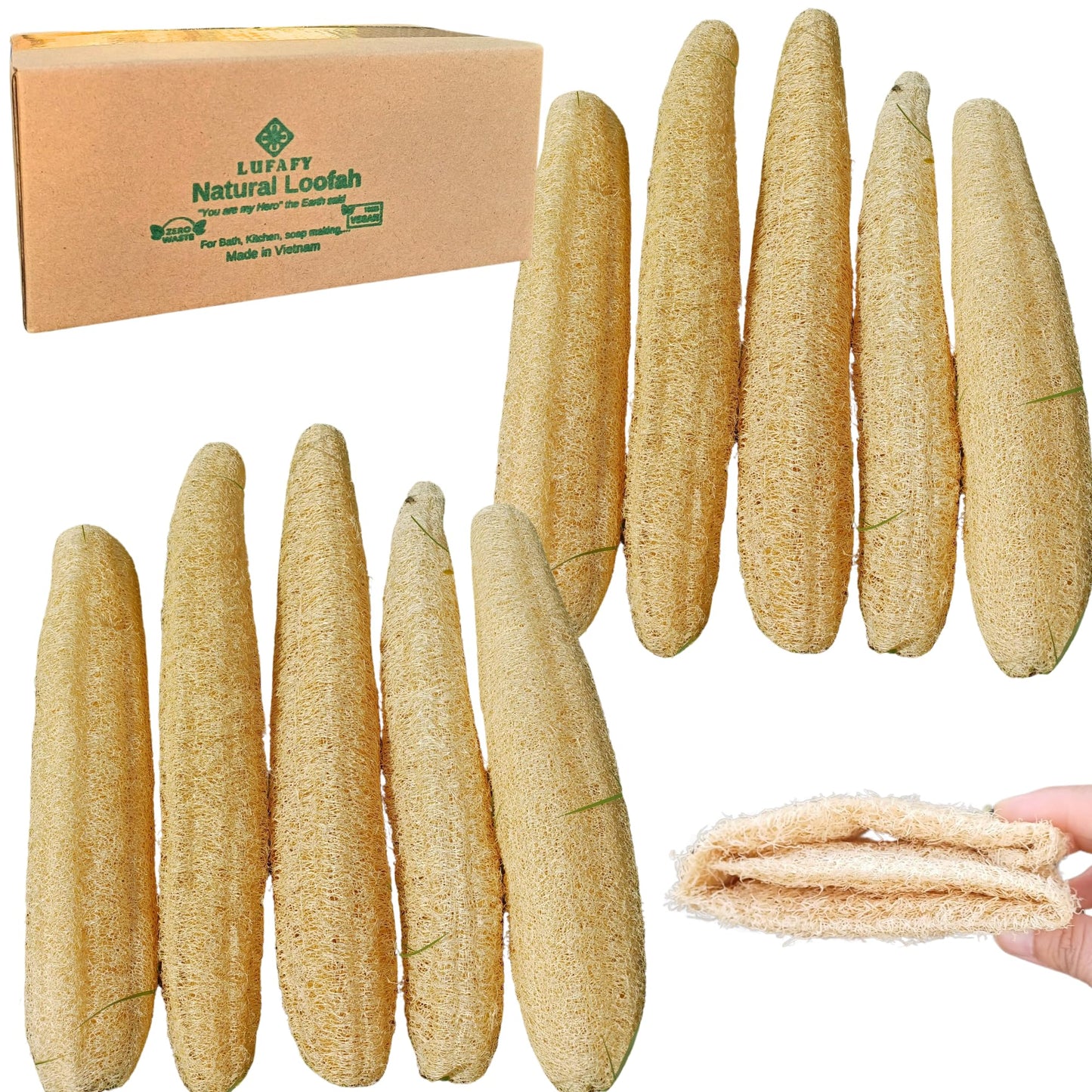 10 Pcs (7 – 10 Inches) Natural Loofah Sponge | Organic Loofah | Shower Loofah Exfoliating Body Scrubber | Bath for Loofah for Men and Women | (10 - Pack)