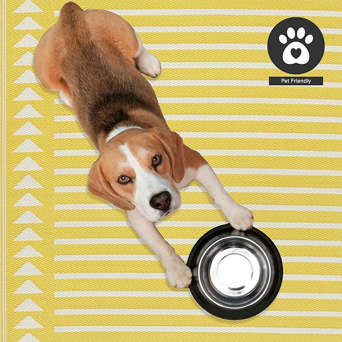 FH Home Outdoor Rug - Waterproof, Fade Resistant, Crease-Free - Premium Recycled Plastic - Geometric - Patio, Porch, Deck, Balcony - Hampton Stripe - Yellow Crease Free - 5 x 8 ft