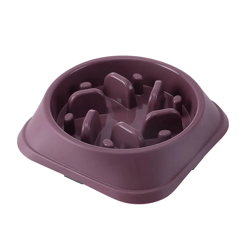 Anti-Choking Dog & Cat Bowl