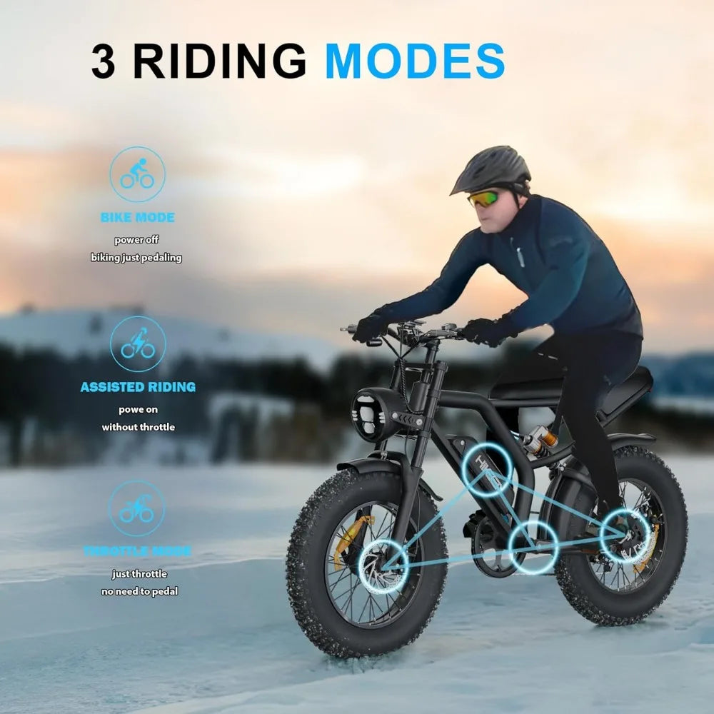 1000W 20" Fat Tire Electric Bike