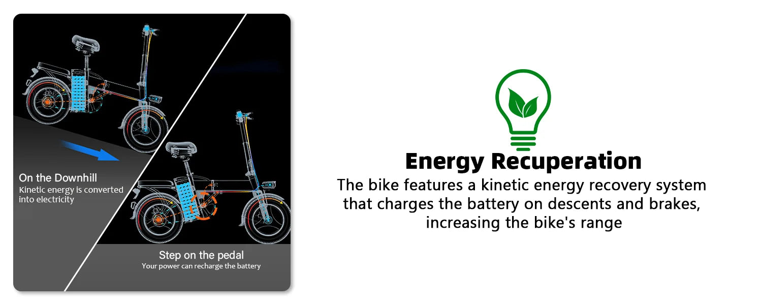 ZPW Folding Fat Tire Electric Bike