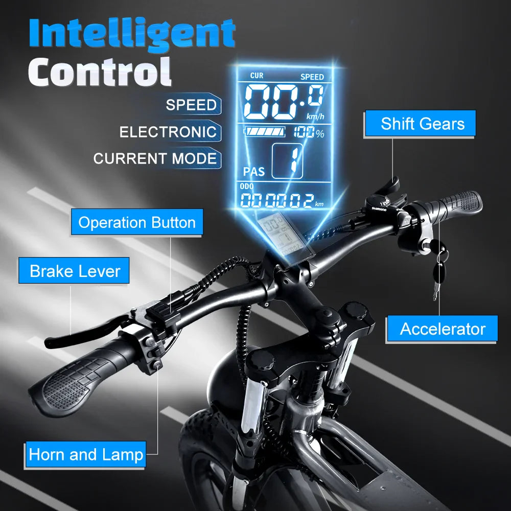 DEEPOWER S7 2000W Fat Tire Electric Bike – 48V 55Ah