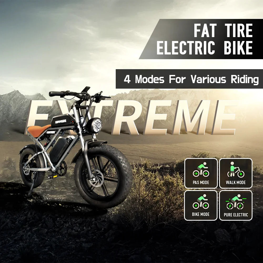 IDOTATA Moped Fat Tire Electric Bike