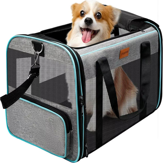 Airline Approved Pet Carrier