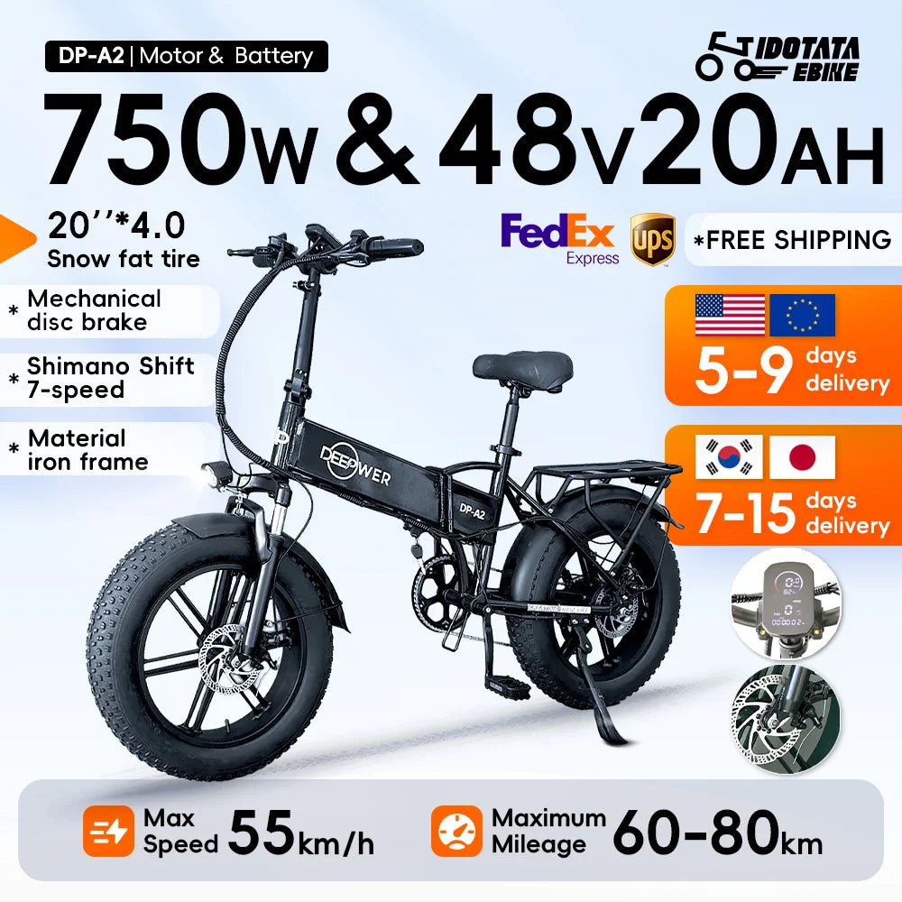 IDOTATA 1000W Folding Electric Bike