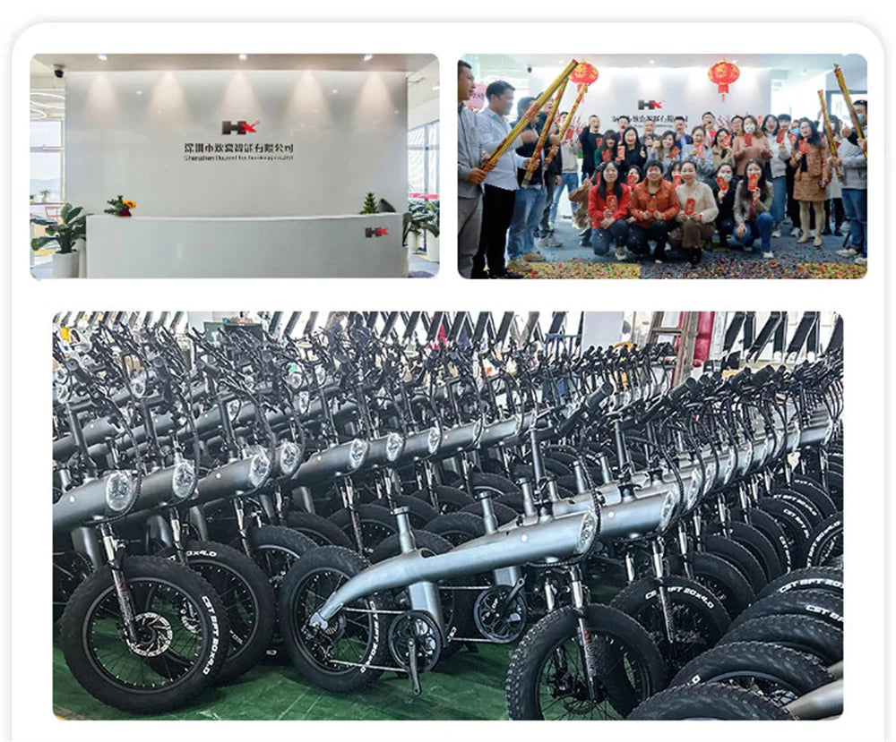 HX Q20PRO 2000W Fat Tire Electric Bike