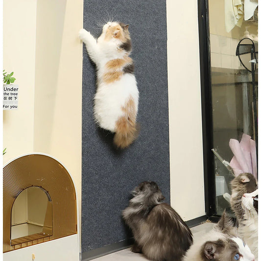 Anti-Cat Scratch Mat