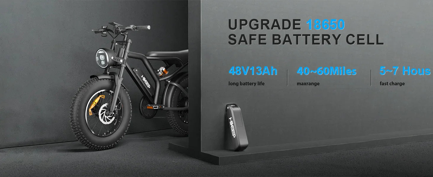 1000W 20" Fat Tire Electric Bike