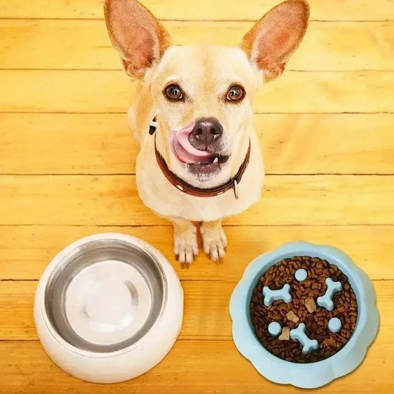 Anti-Choking Dog Slow Feeder Bowl