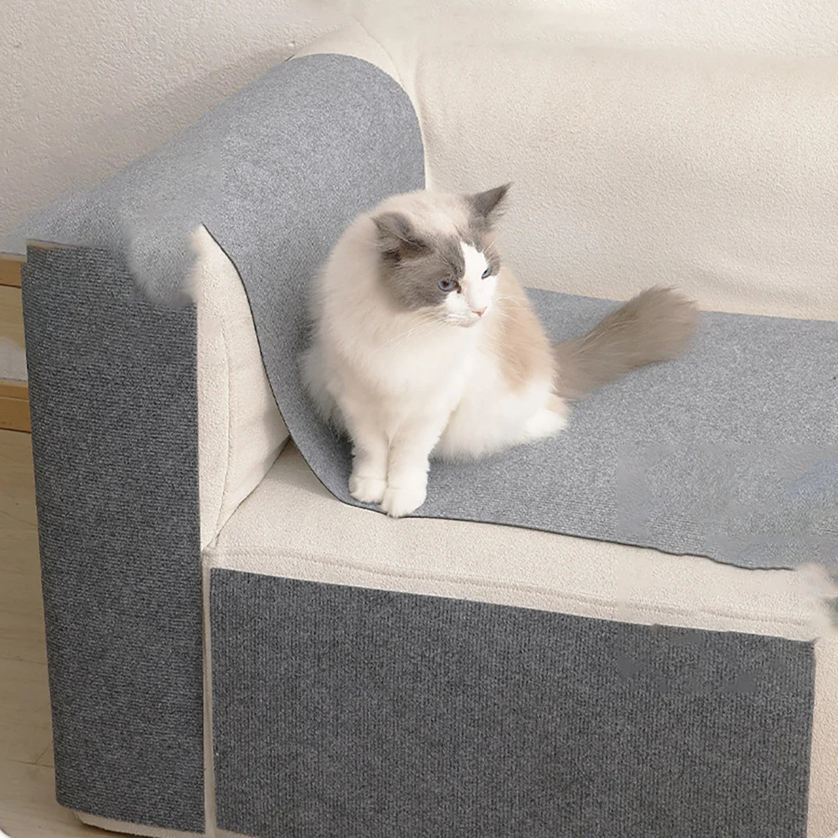 Anti-Cat Scratch Mat